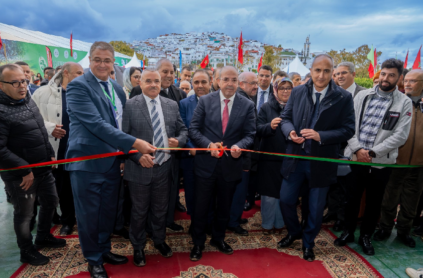 وزان تحتضن فعاليات الدورة الثالثة للمعرض الوطني للزيتون