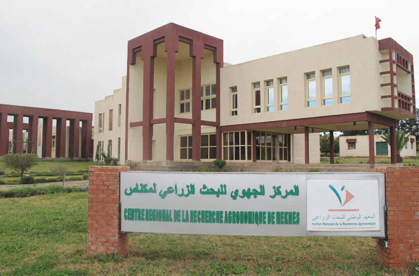 المركز الجهوي للبحث الزراعي بمكناس يصدر 113 منشورًا علميًا