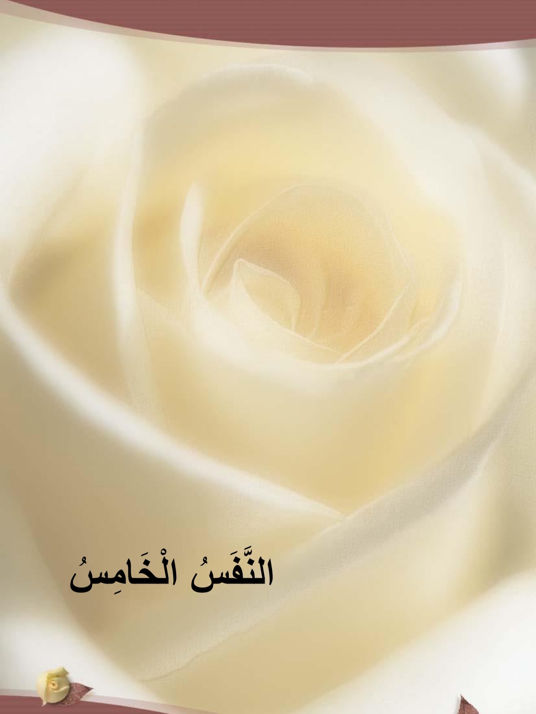 اغنية الحروف عشر انفاس من اجلك يا وطني لعبد الله الطني