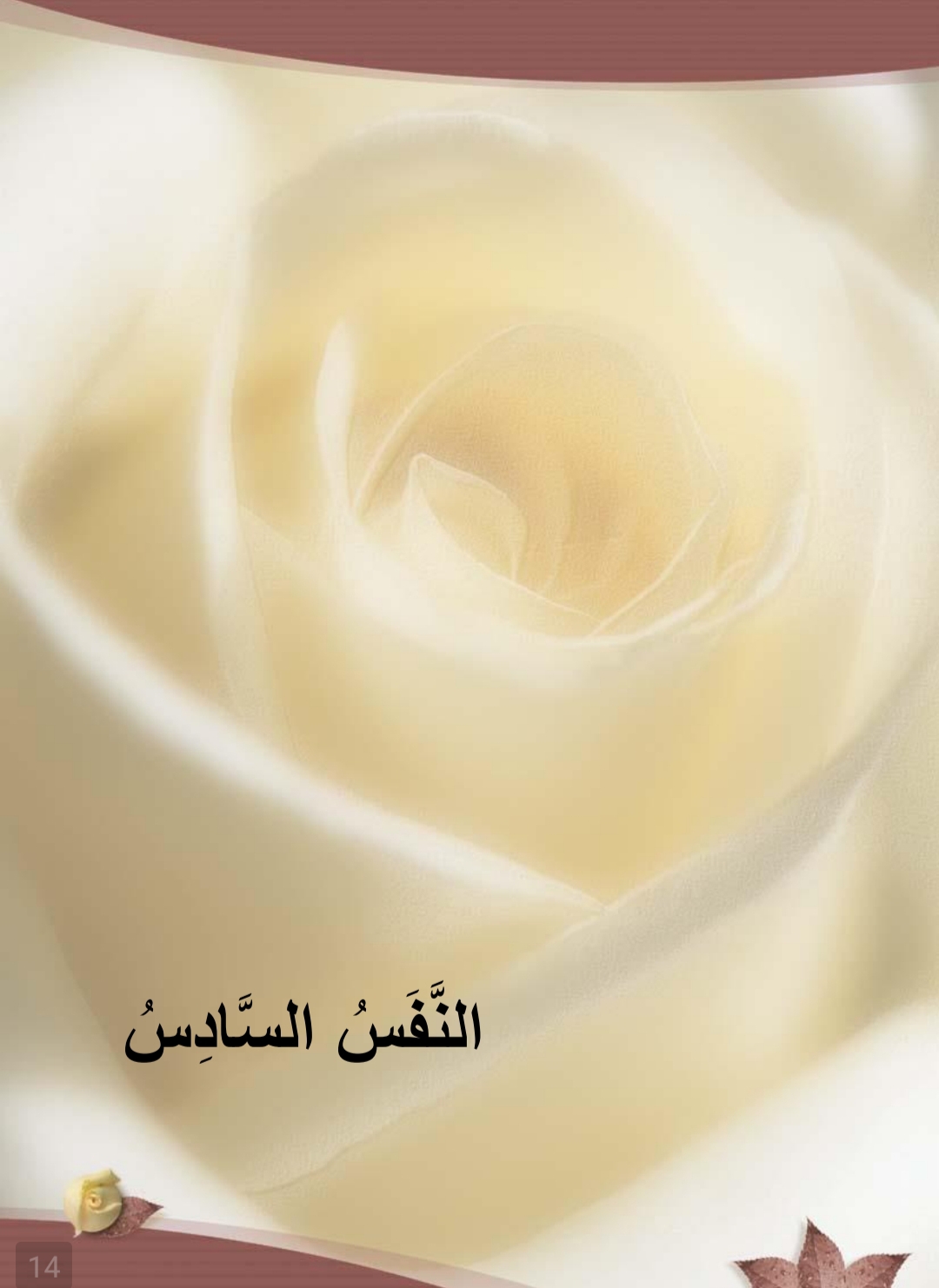 اغنية الحروف عشر انفاس من اجلك يا وطني لعبد الله الطني