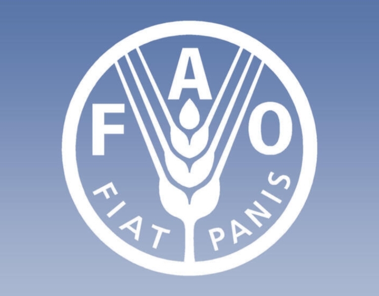 الفاو.. انتخاب المغرب نائبا لرئيس هيئة تدابير الصحة النباتية التابعة للاتفاقية الدولية لوقاية النباتات
