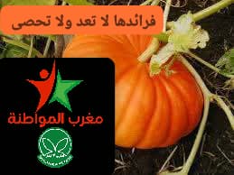 فوائد اليقطين 