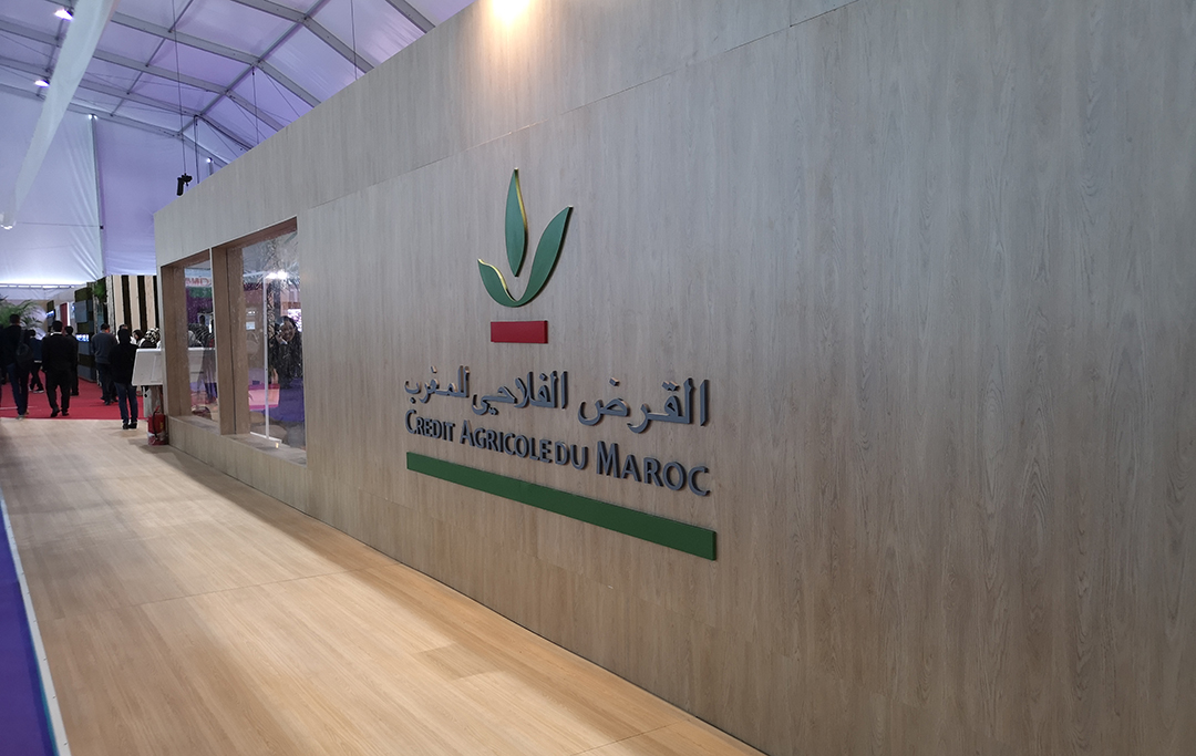 القرض الفلاحي.. ارتفاع النتيجة الصافية لحصة المجموعة بـ 2 في المائة