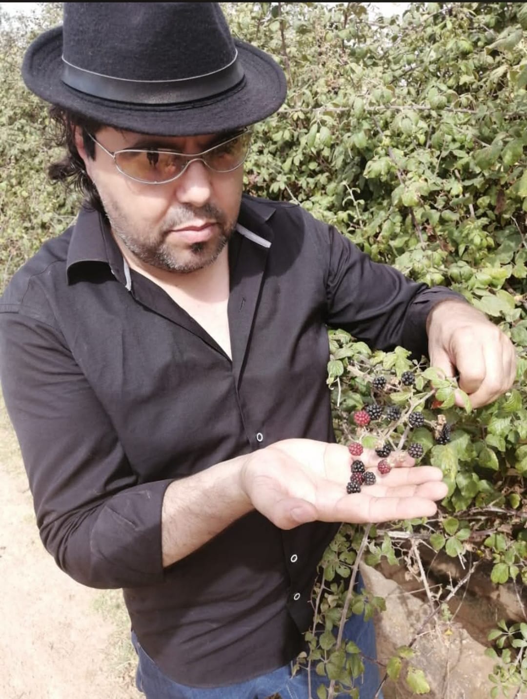 التوت الشوكي (العُلّيق)، وله فوائد صحية مهمّة