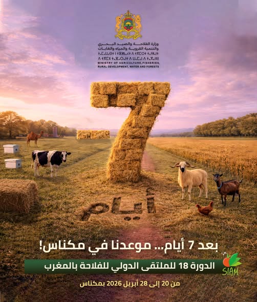 مكناس: الخطوات السريعة نحو ملتقى دولي للفلاحة بالمغرب ذي جودة وجاذبية.