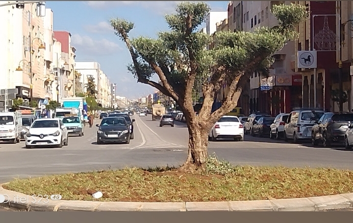 شارع محمد السادس بمكناس… حين تتحول الرؤية إلى إنجاز شارع محمد السادس بمكناس… حين تتحول الرؤية إلى إنجاز