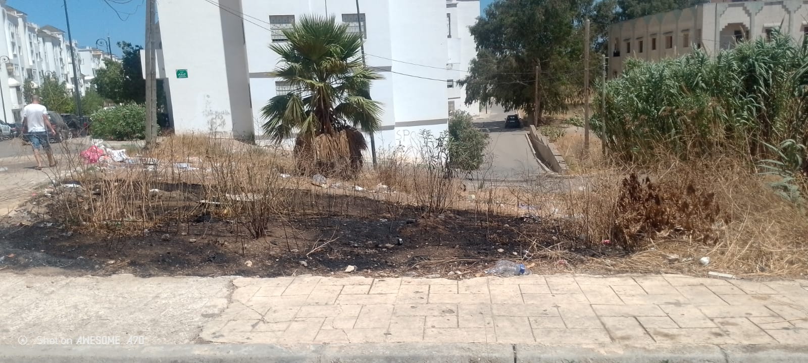 *اندلاع حريق بأرض خالية قرب المجمع السكني جوهرة تطوان يستنفر السلطات دون تسجيل خسائر بشرية* *اندلاع حريق بأرض خالية قرب المجمع السكني جوهرة تطوان يستنفر السلطات دون تسجيل خسائر بشرية*
