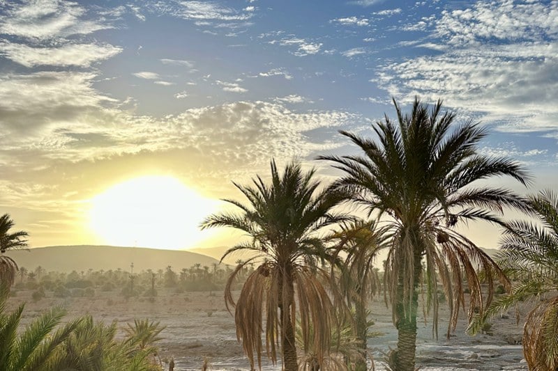 موجة حر من اليوم الأحد إلى الثلاثاء بعدد من مناطق المملكة (نشرة إنذارية)