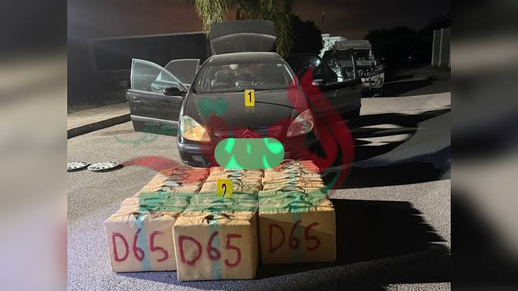 حجز نحو 400 كيلوغرام من المخدرات على الطريق الجهوية 509.. باكاون نواحي الحسيمة والأبحاث متواصلة بإشراف النيابة العامة