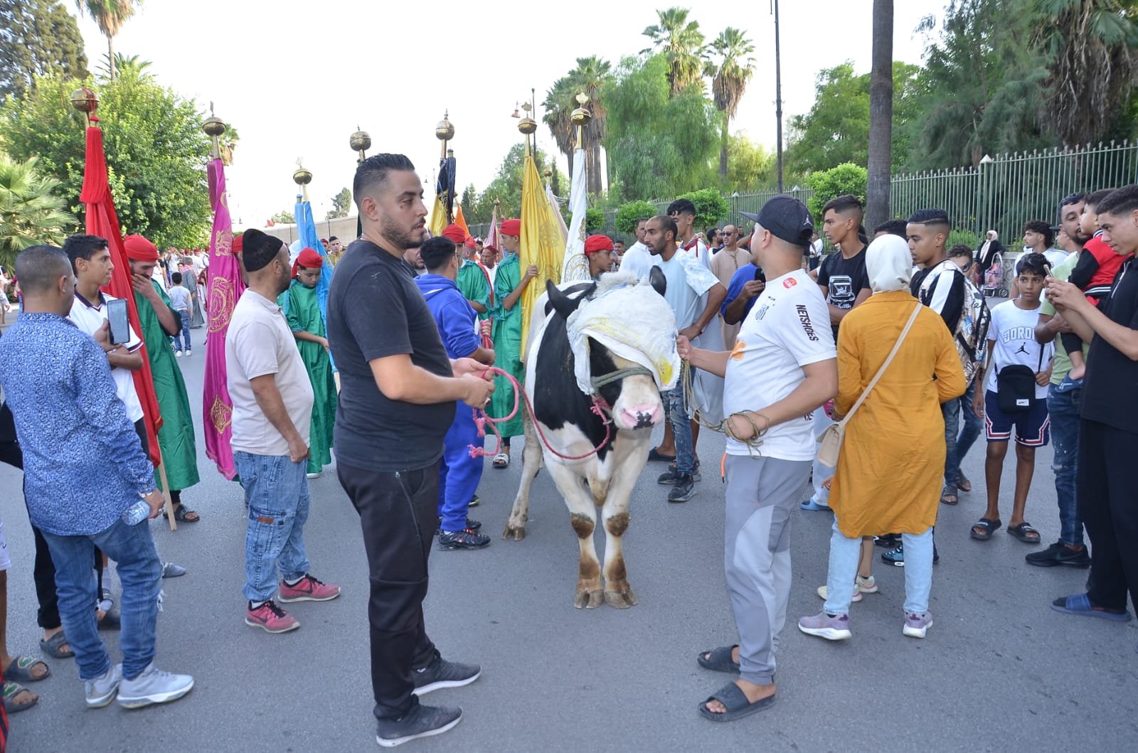 فاس .. تنظيم حفل تقديم كسوة ضريح المولى إدريس الأزهر فاس .. تنظيم حفل تقديم كسوة ضريح المولى إدريس الأزهر